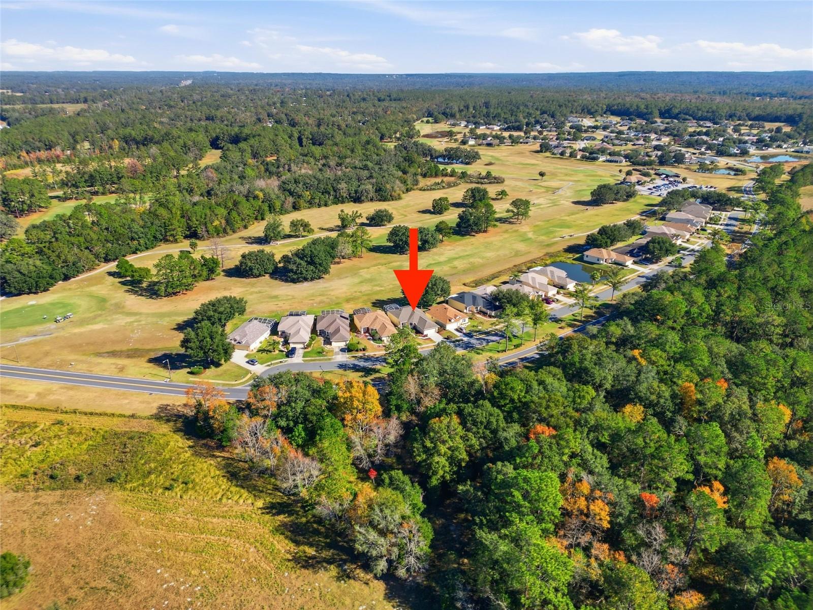 Image 31 of 32 For 17367 Eagle Trace Drive