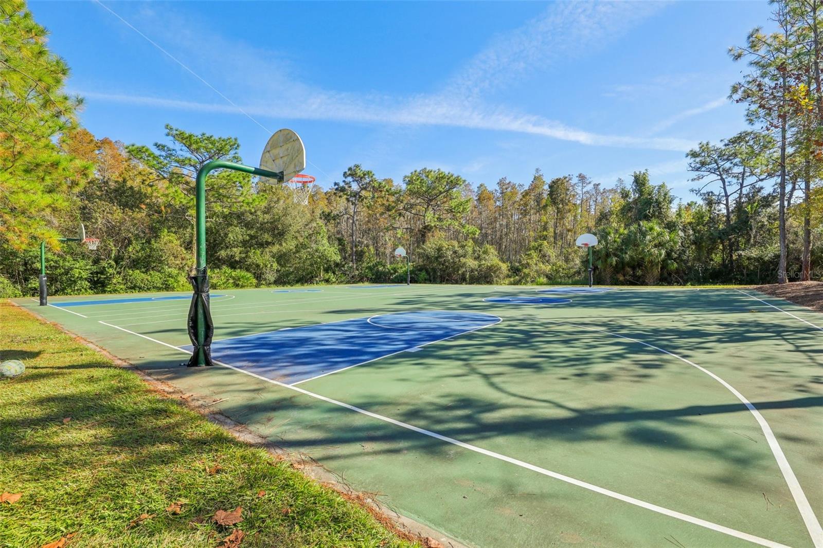 Image 40 of 60 For 31234 Claridge Place