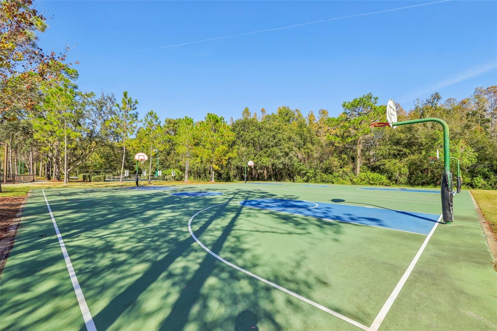 Image 41 of 60 For 31234 Claridge Place