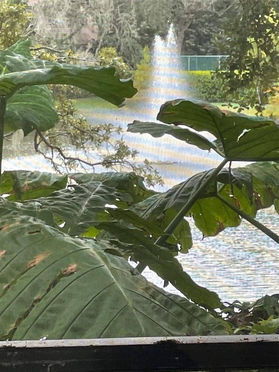 Image 13 of 31 For 1926 Whispering Way