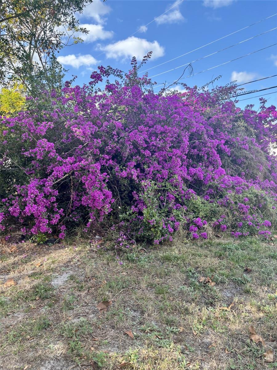 Image 17 of 17 For 10517 Hibiscus Drive