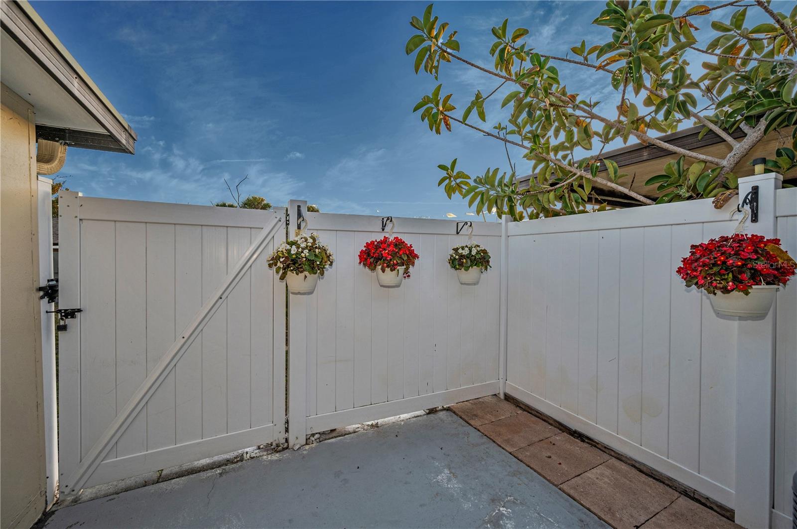 Image 25 of 57 For 24862 Us Highway 19 N 1205