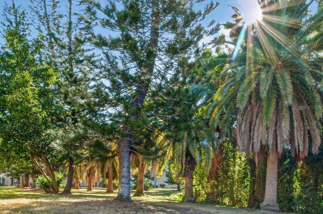 Image 39 of 59 For 2170 Americus Boulevard N 70