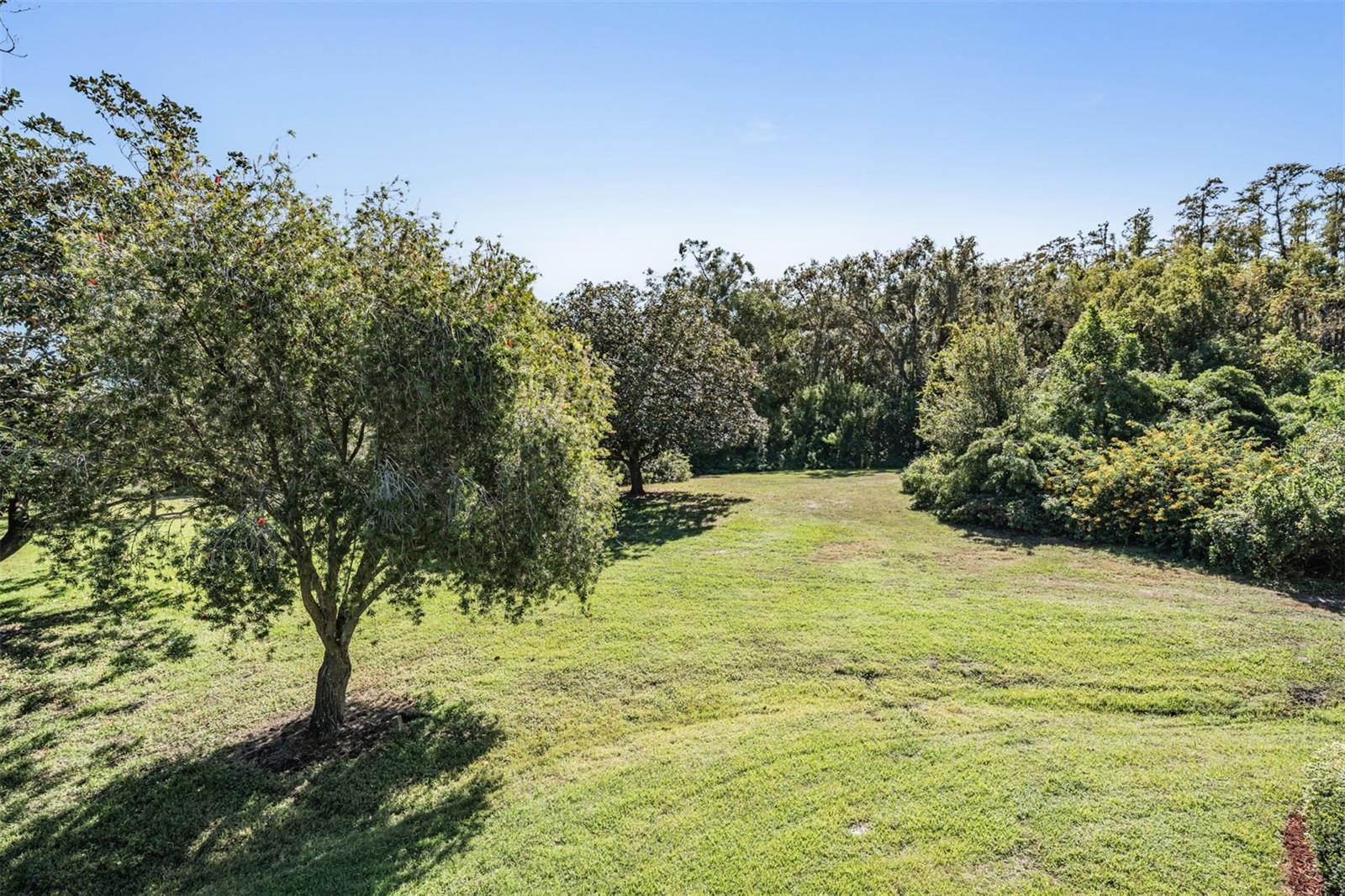 Image 30 of 68 For 36750 Us Highway 19 N 6-214