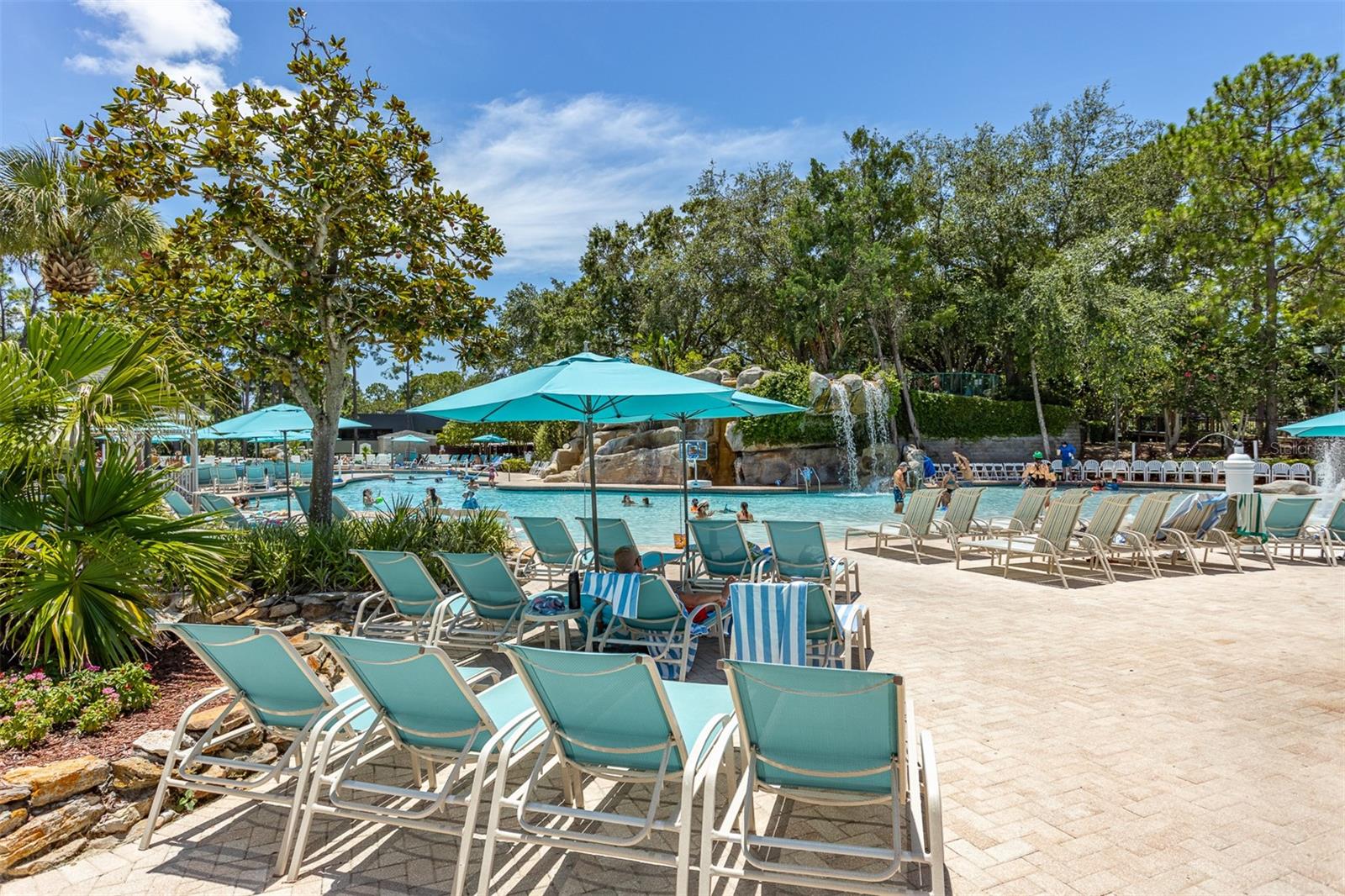 Image 48 of 68 For 36750 Us Highway 19 N 6-214