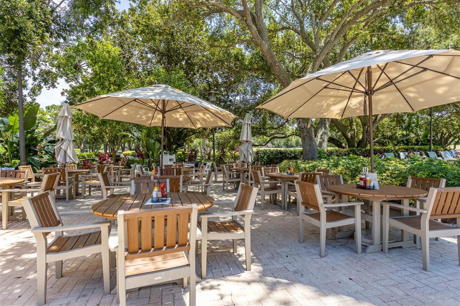 Image 49 of 68 For 36750 Us Highway 19 N 6-214