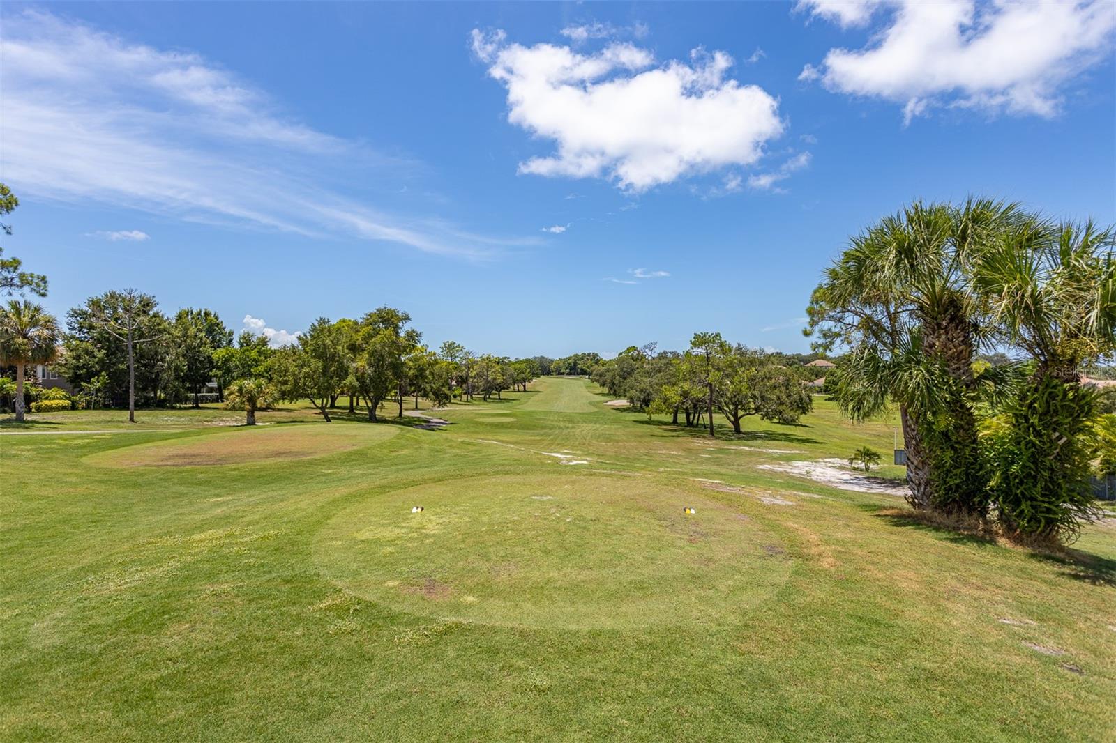 Image 54 of 68 For 36750 Us Highway 19 N 6-214