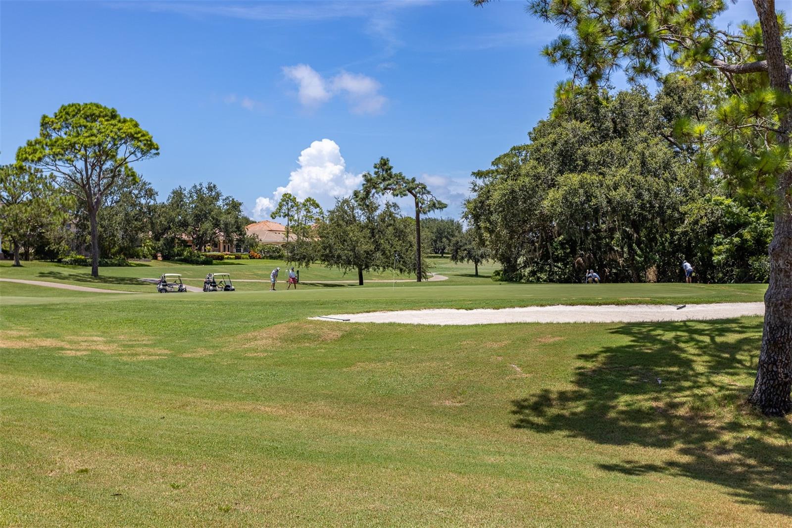 Image 55 of 68 For 36750 Us Highway 19 N 6-214