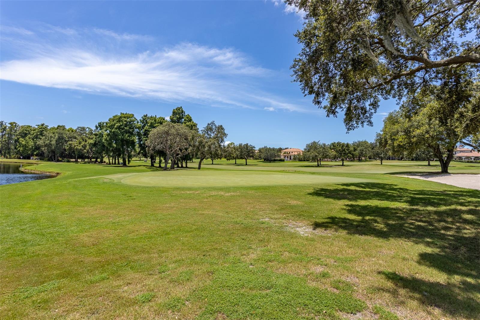 Image 56 of 68 For 36750 Us Highway 19 N 6-214