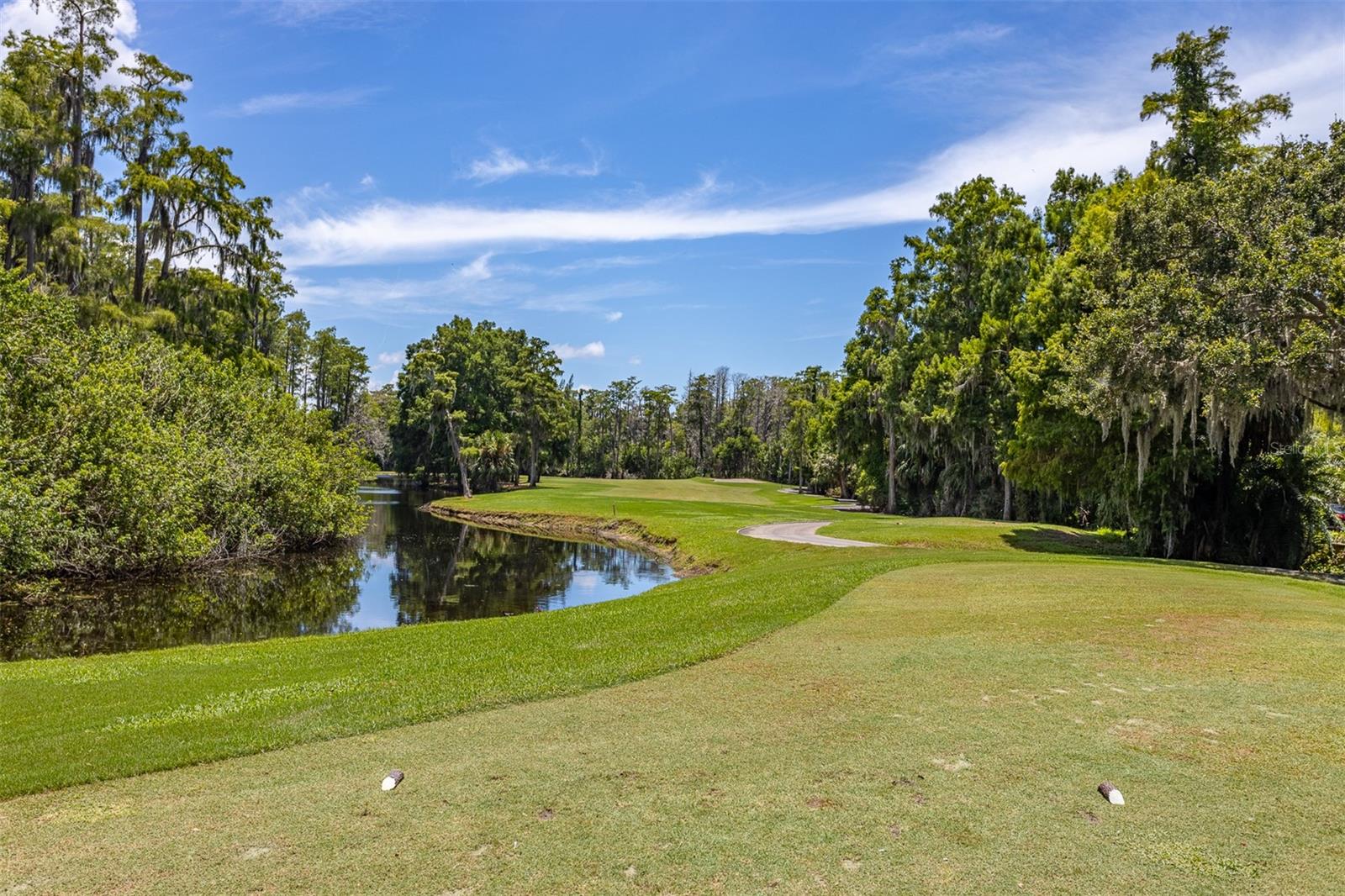 Image 57 of 68 For 36750 Us Highway 19 N 6-214