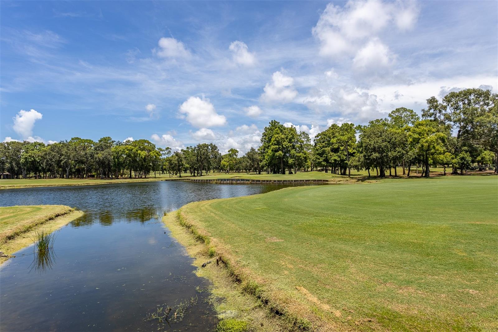 Image 58 of 68 For 36750 Us Highway 19 N 6-214