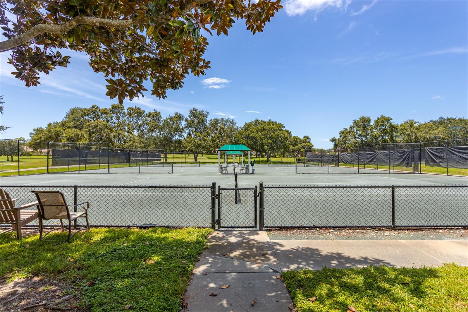 Image 59 of 68 For 36750 Us Highway 19 N 6-214