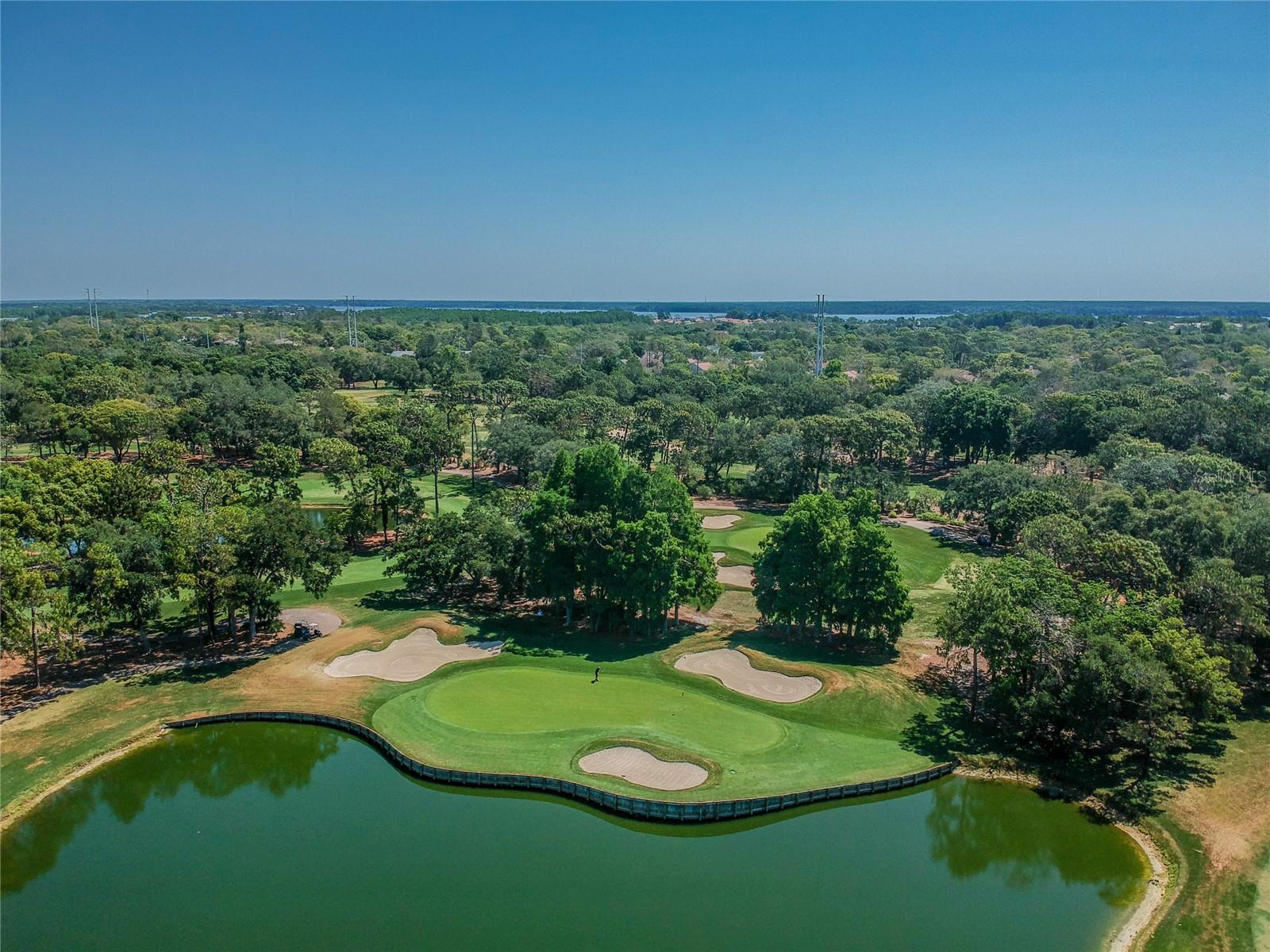 Image 64 of 68 For 36750 Us Highway 19 N 6-214