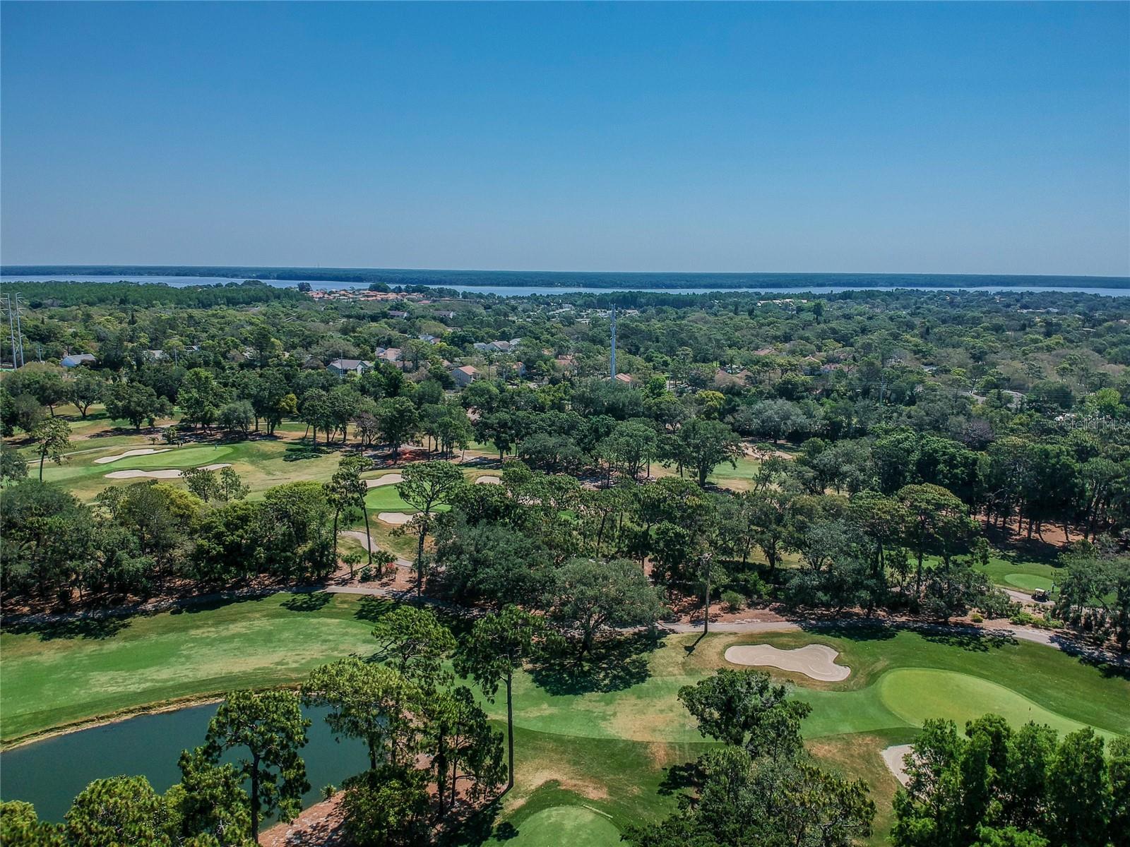 Image 65 of 68 For 36750 Us Highway 19 N 6-214