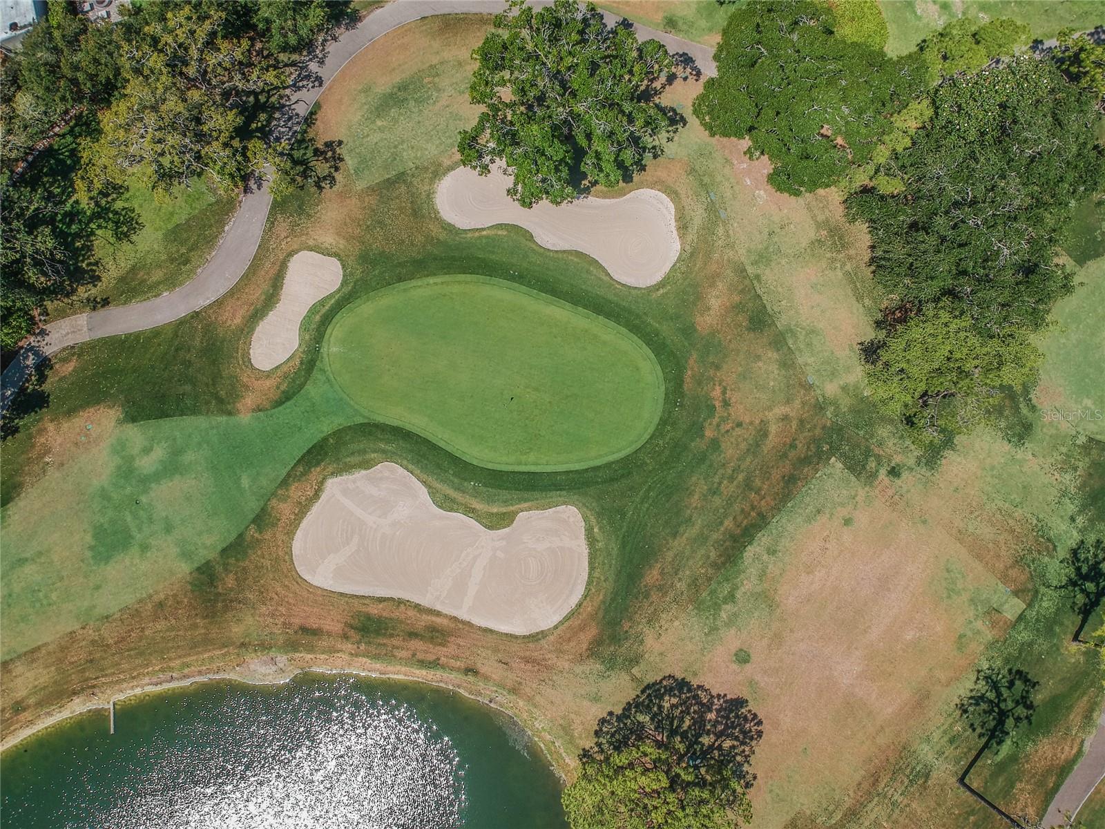 Image 68 of 68 For 36750 Us Highway 19 N 6-214