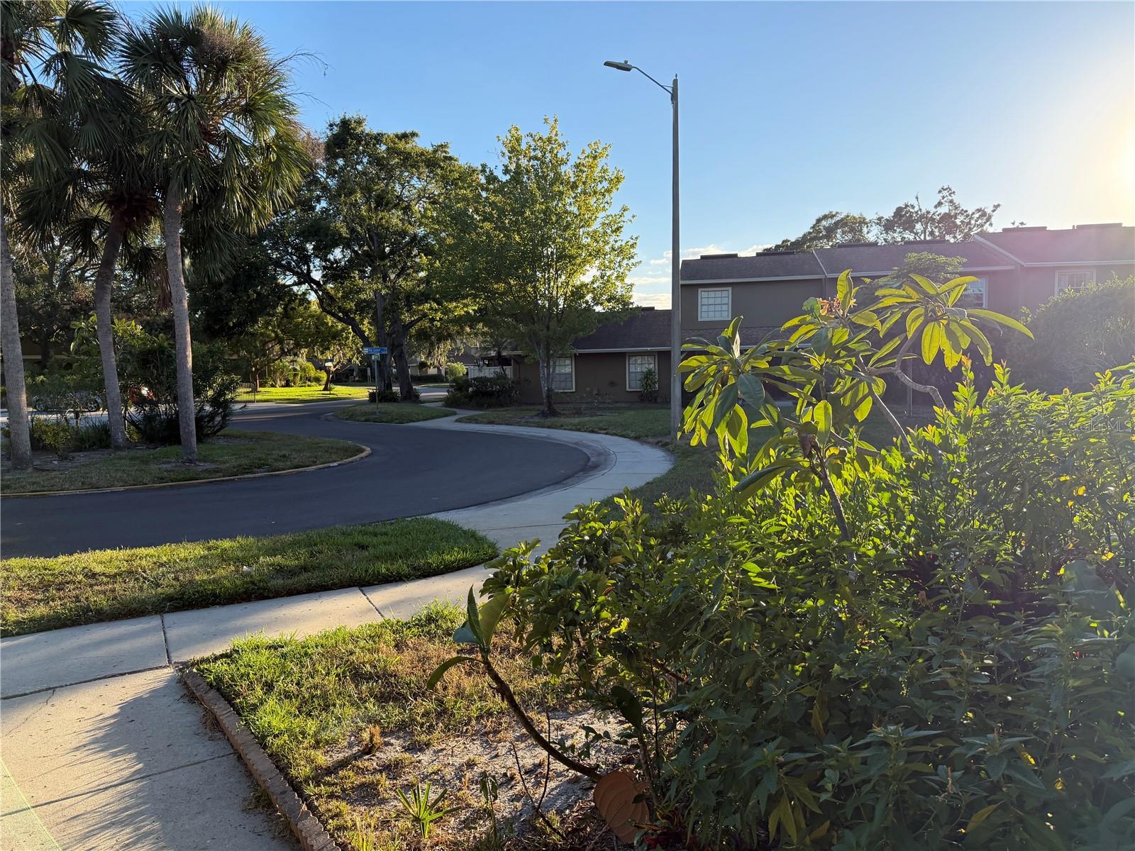 Image 10 of 43 For 7627 Deleon Court