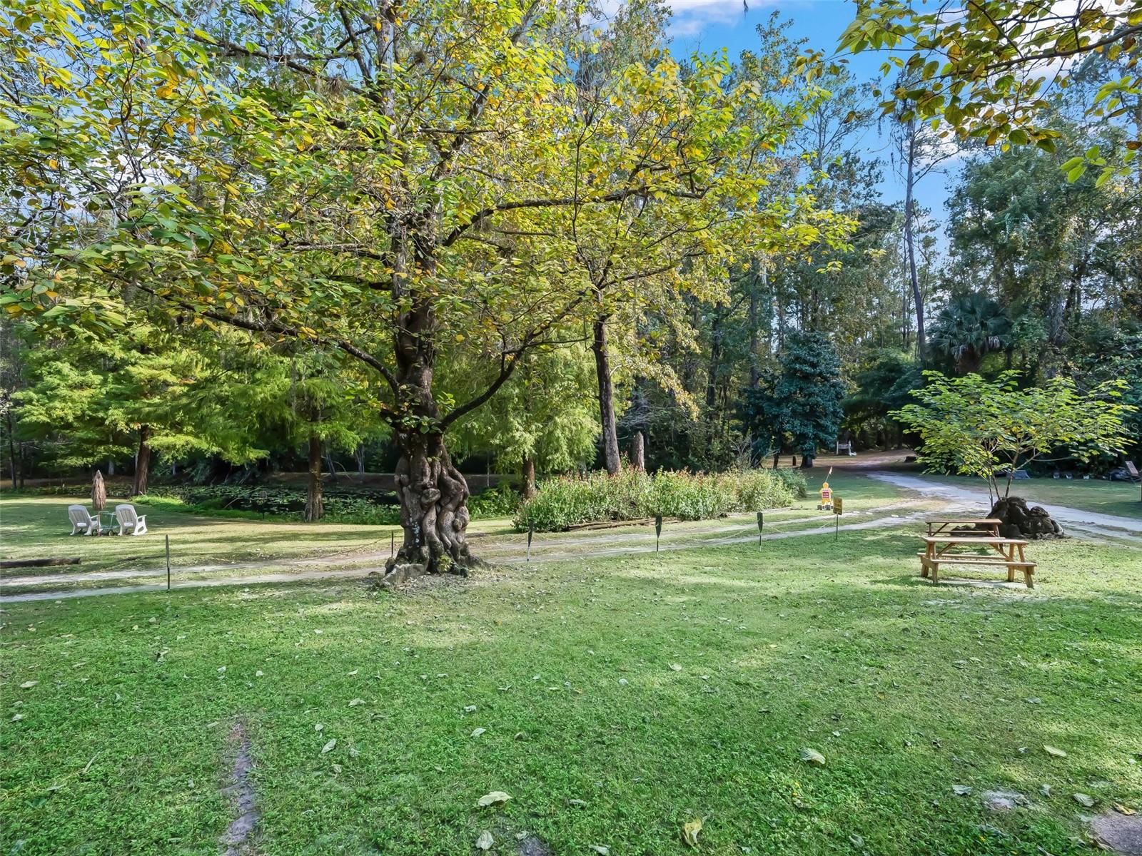 Image 28 of 87 For 15260 152nd Place