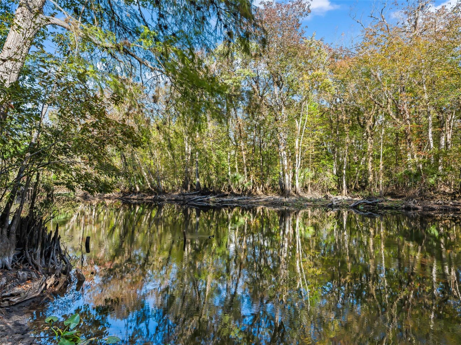 Image 5 of 87 For 15260 152nd Place