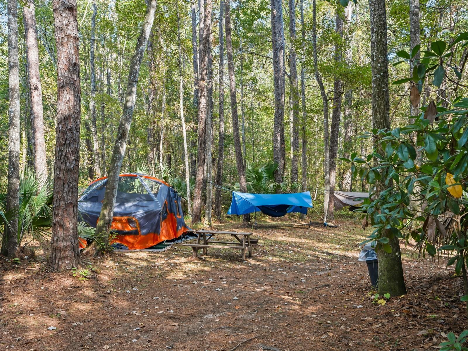 Image 69 of 87 For 15260 152nd Place