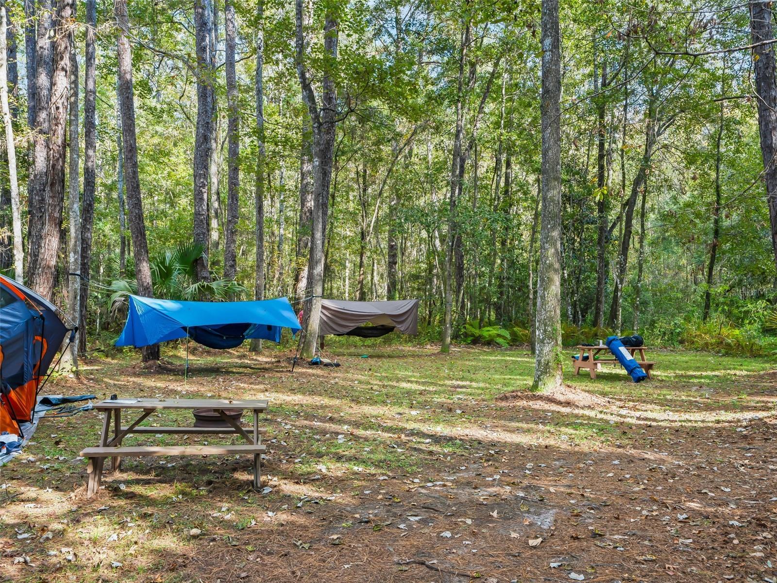 Image 71 of 87 For 15260 152nd Place