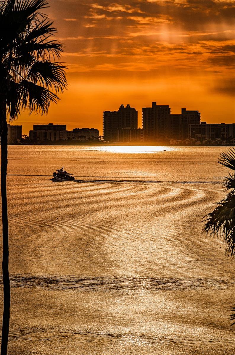 Image 57 of 57 For 80 Rogers Street 9c