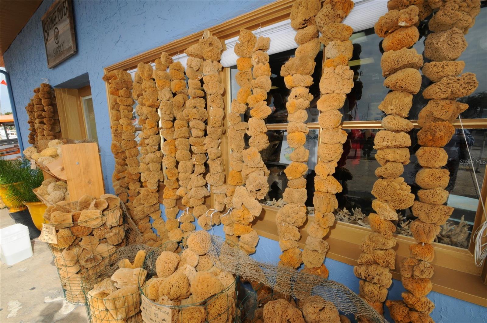 Image 39 of 61 For 431 Grand Boulevard