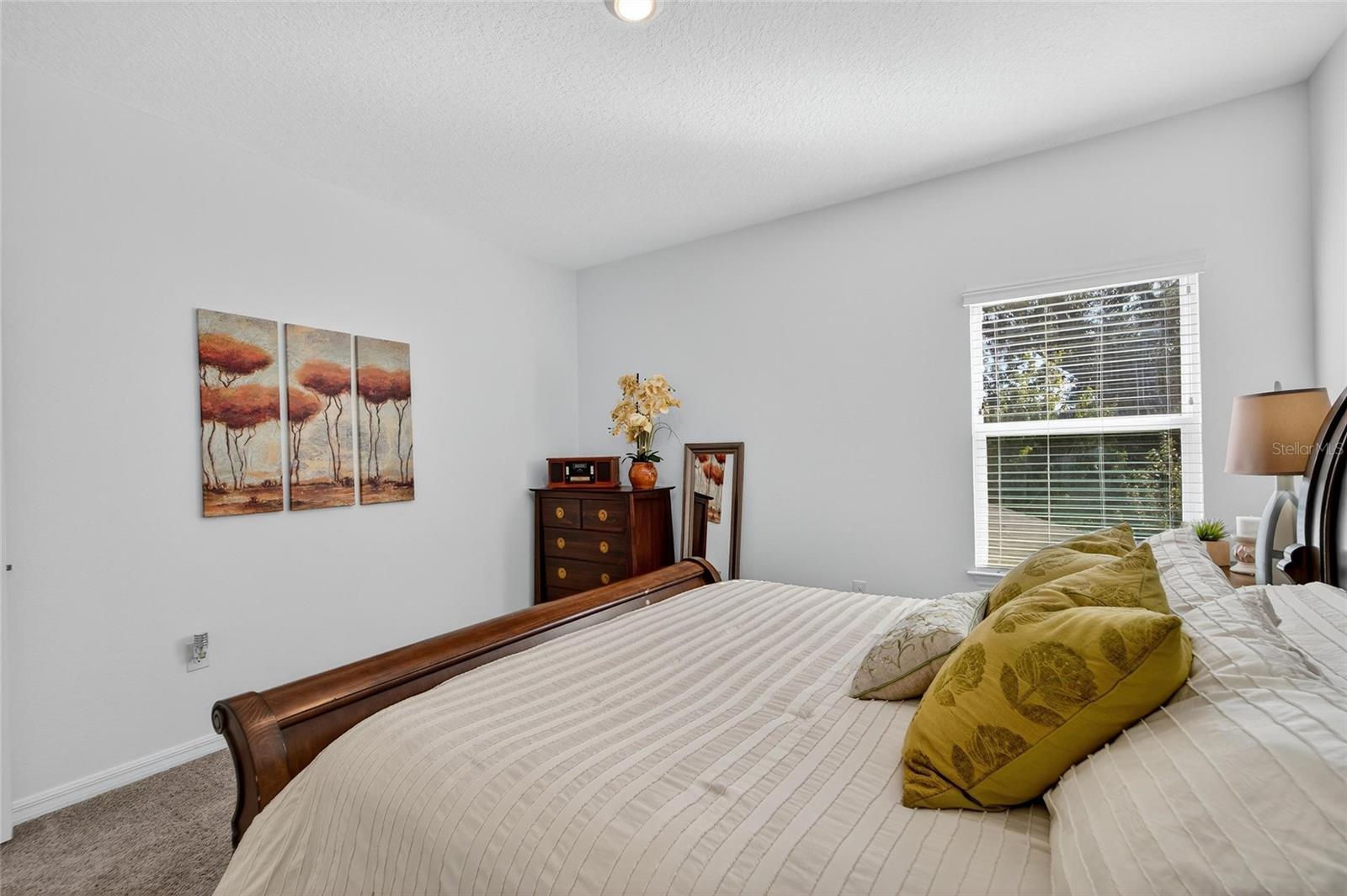 Listing photo id 71 for 10521 Alcon Blue Drive