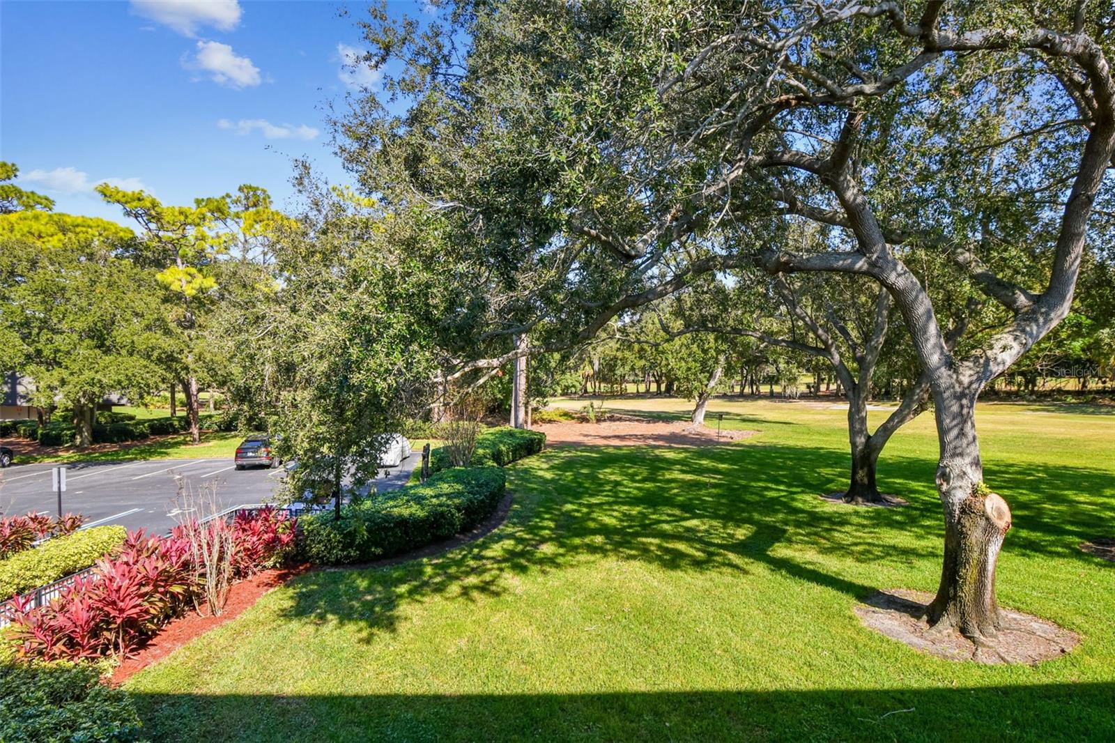 Image 41 of 70 For 36750 Us Highway 19 N 18208