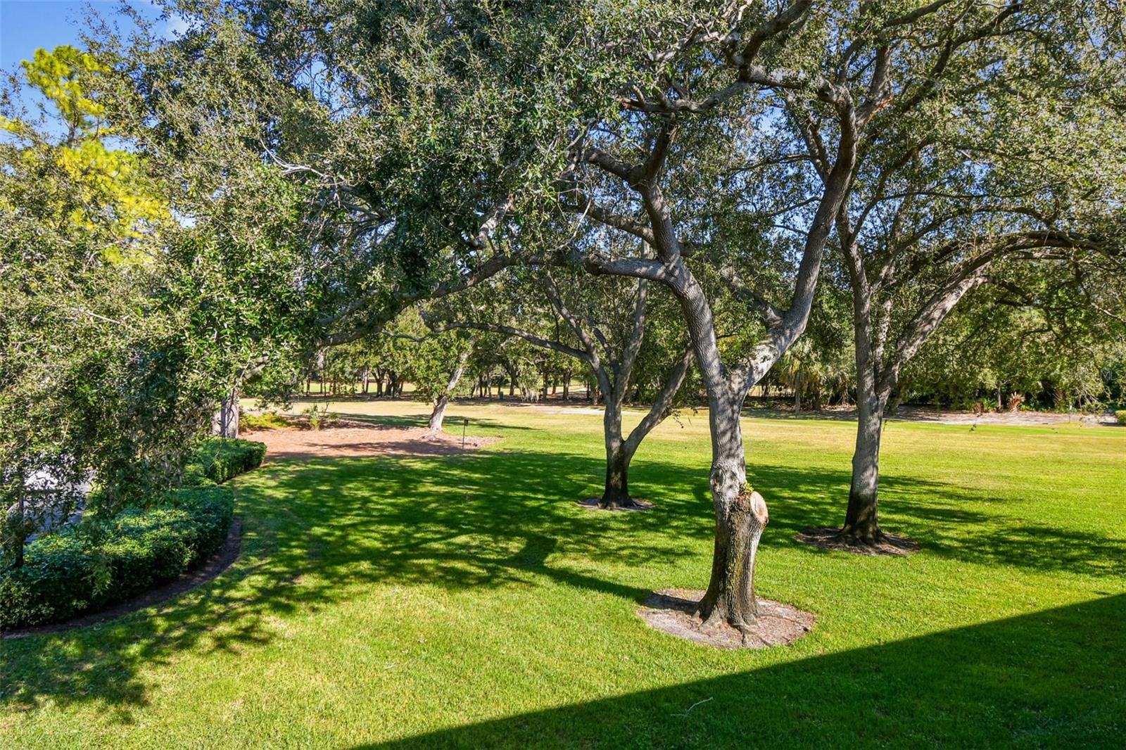 Image 42 of 70 For 36750 Us Highway 19 N 18208