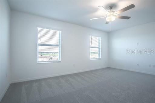 Image 17 of 30 For 32025 Powderpuff Mimosa Dr