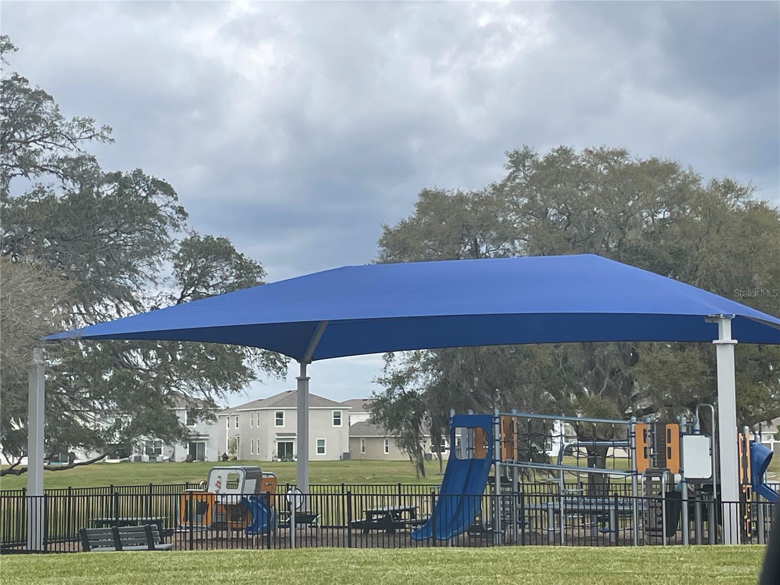 Image 20 of 30 For 32025 Powderpuff Mimosa Dr