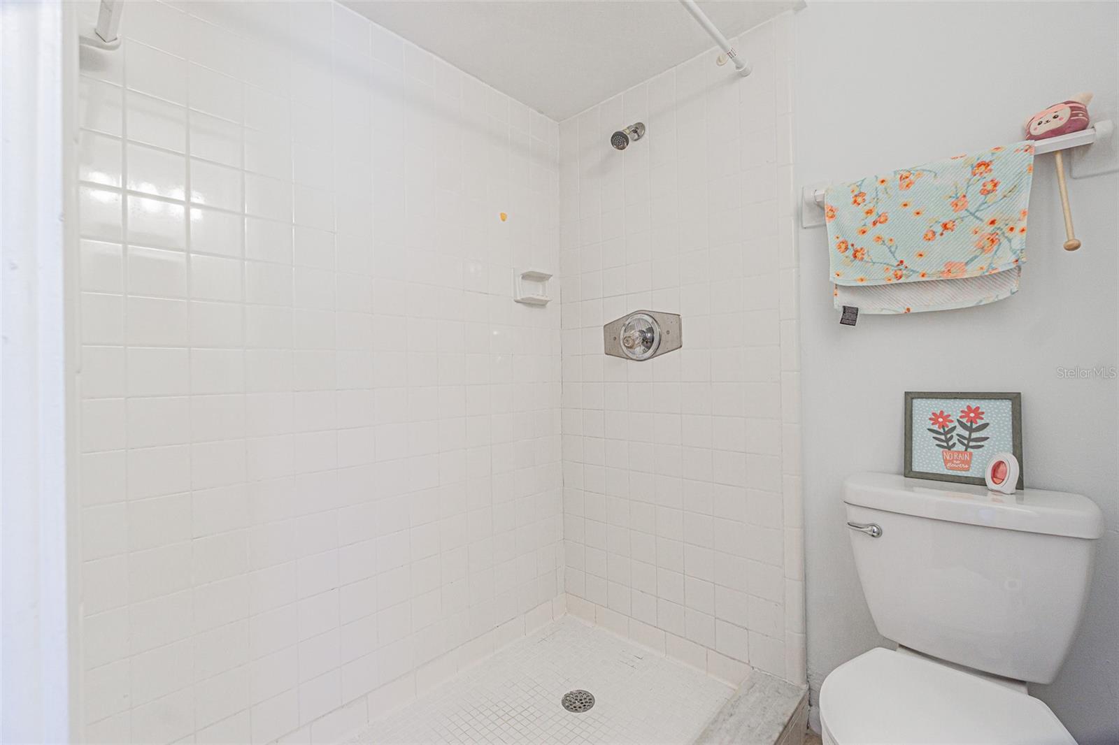 Image 17 of 27 For 925 Park Street