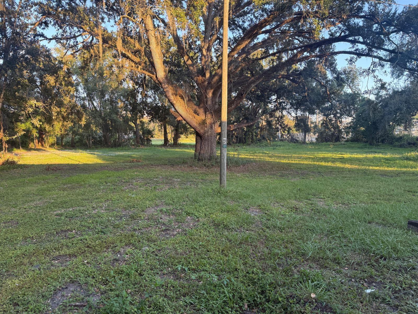 Image 19 of 70 For 14646 15th Street