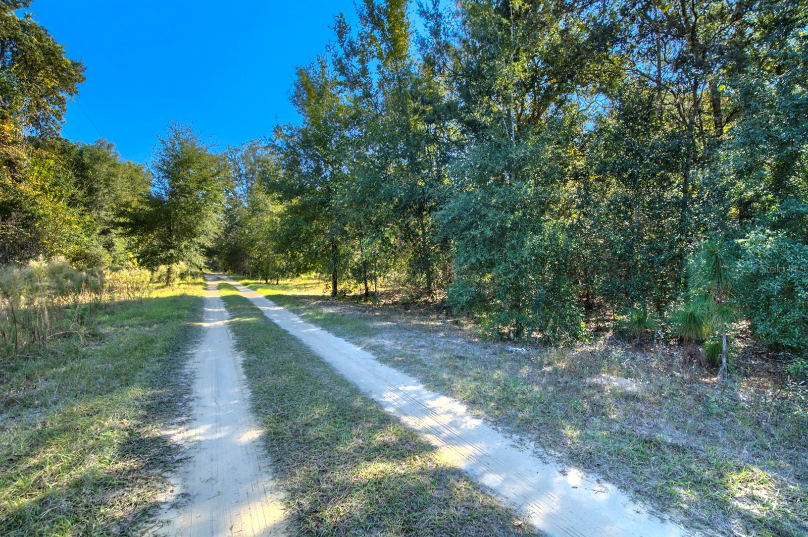 Image 14 of 20 For 2215 Adams Street