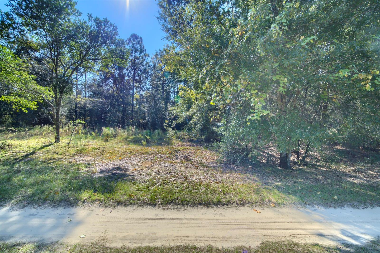 Image 15 of 20 For 2215 Adams Street