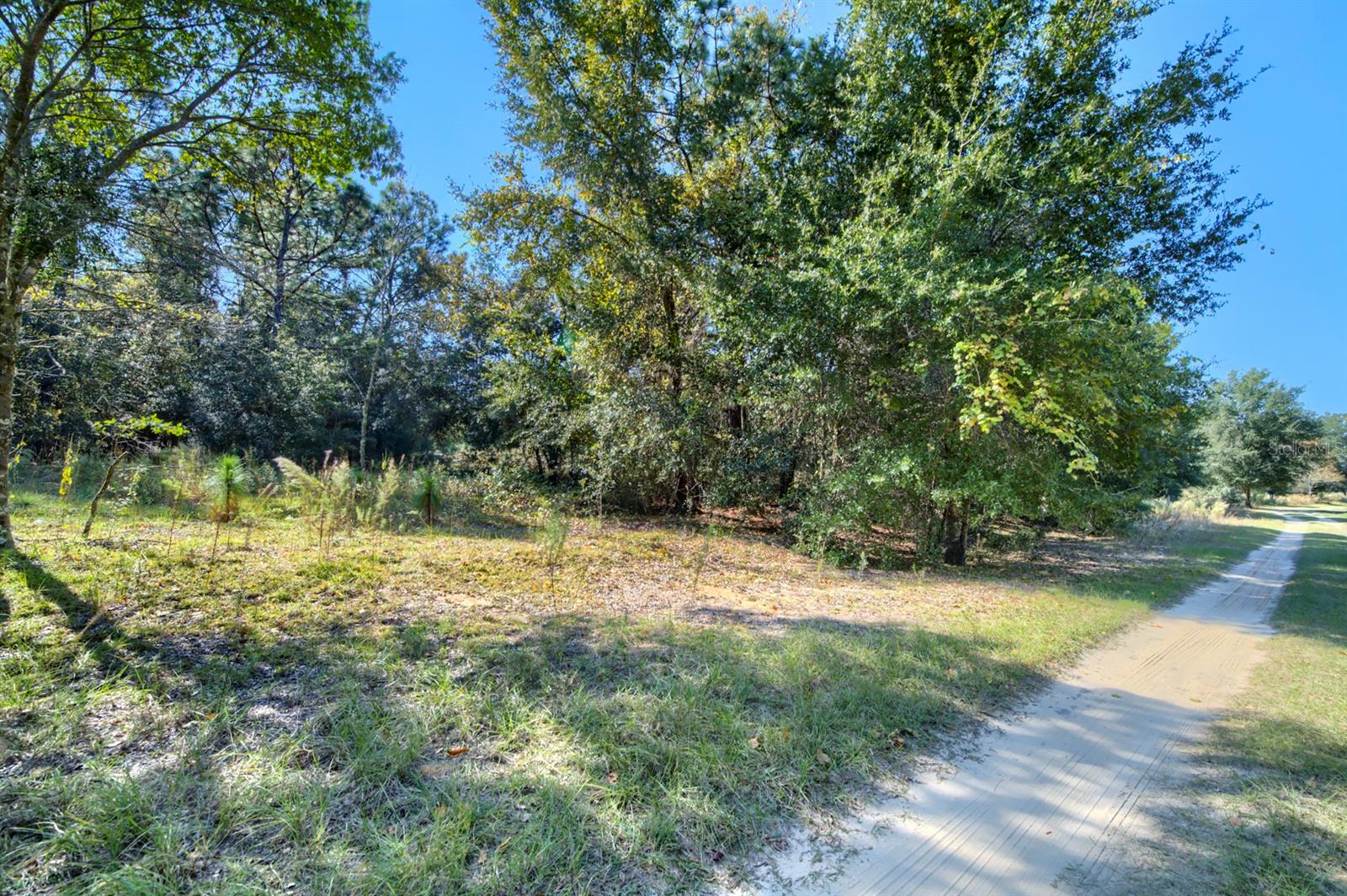 Image 16 of 20 For 2215 Adams Street