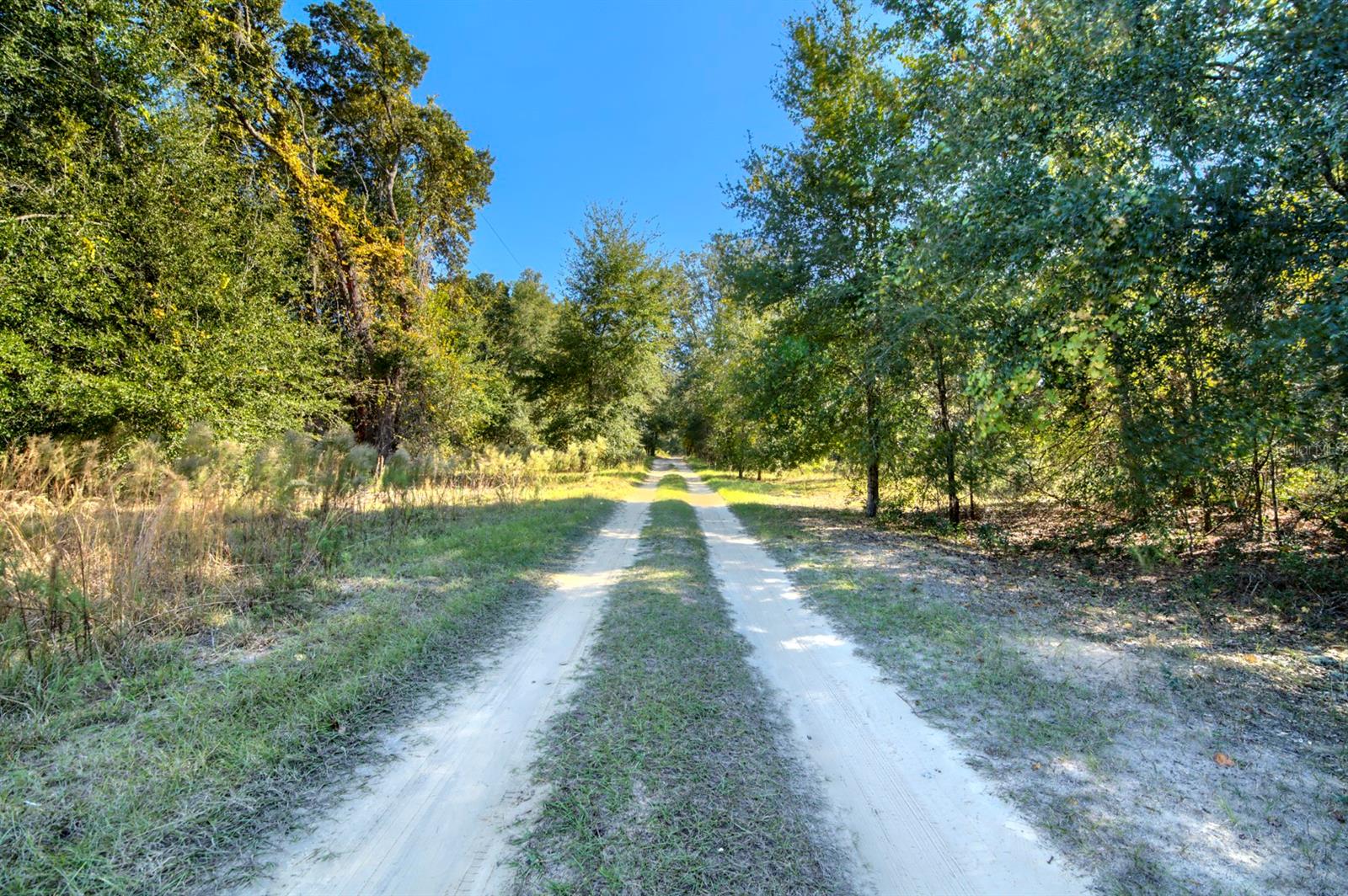 Image 18 of 20 For 2215 Adams Street