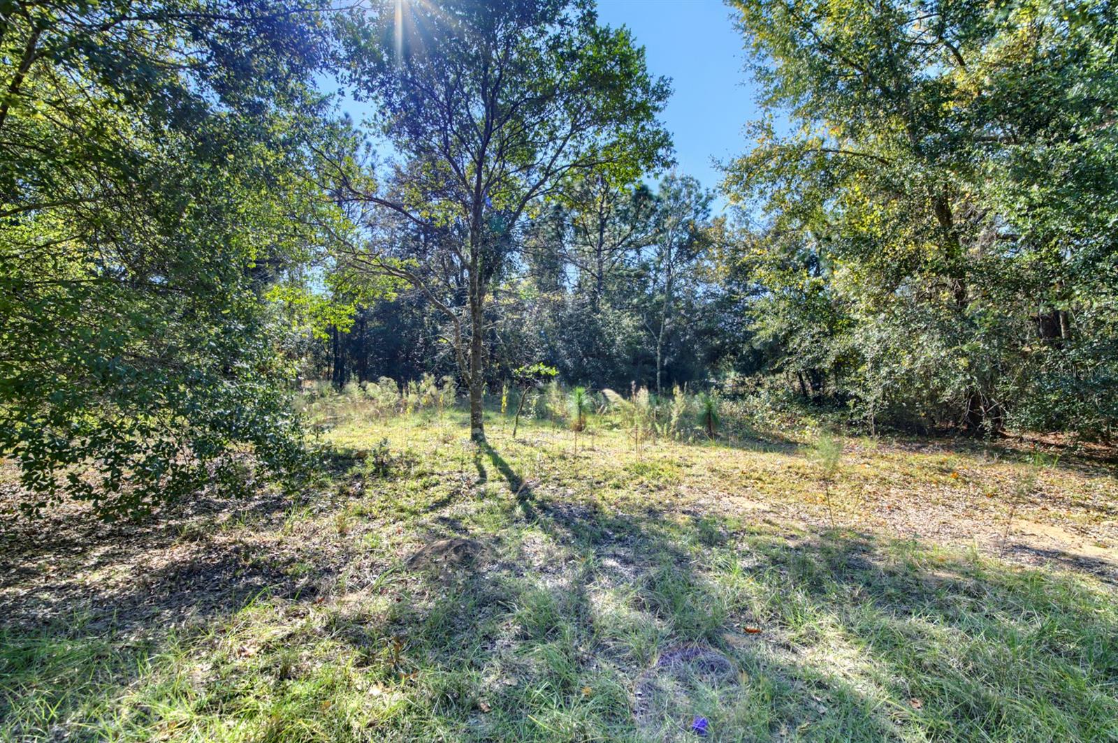 Image 2 of 20 For 2215 Adams Street