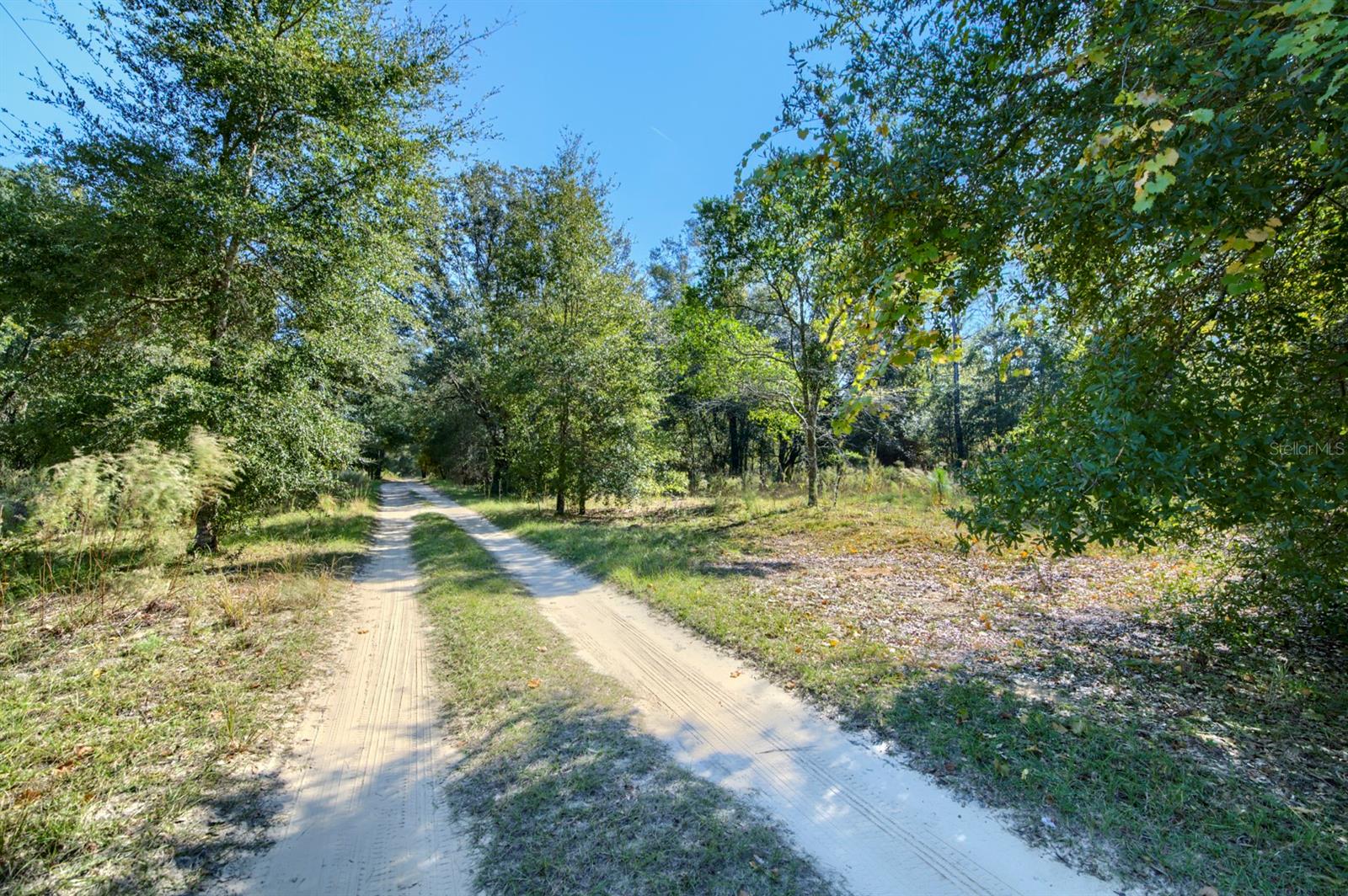 Image 6 of 20 For 2215 Adams Street