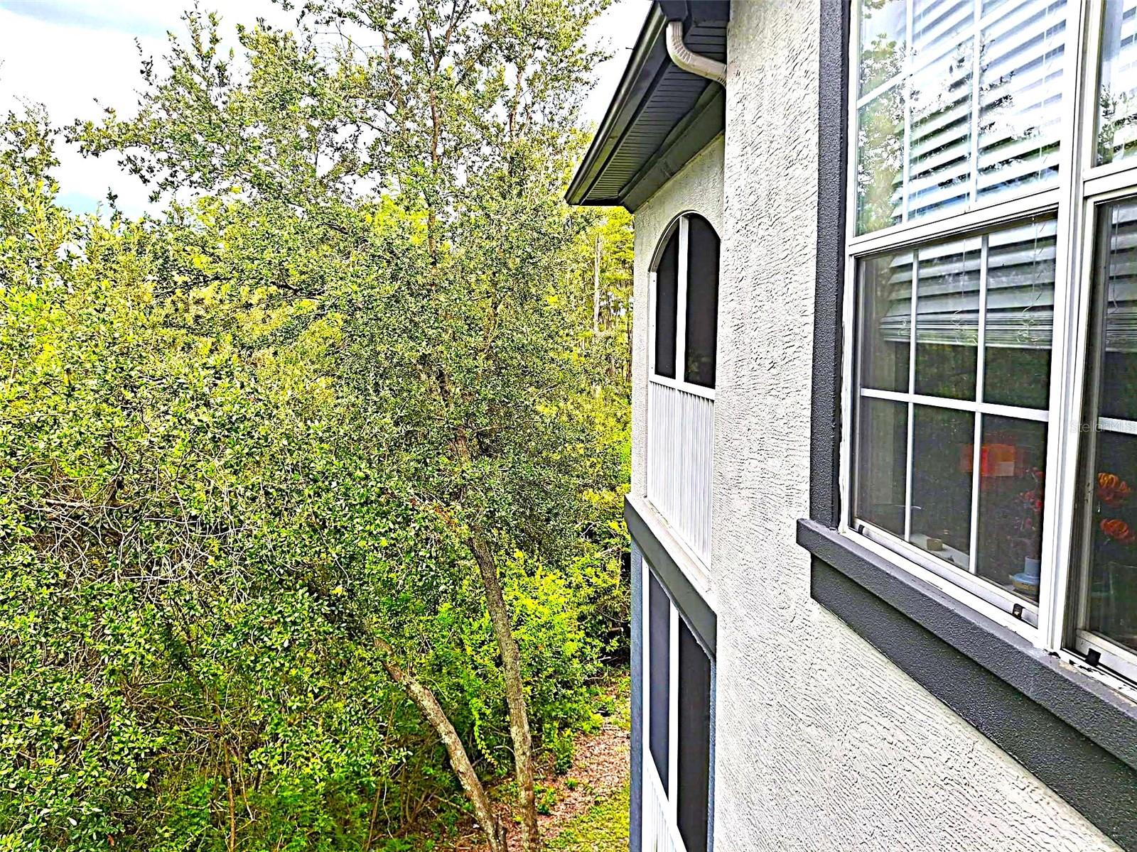 Image 28 of 60 For 13304 Sanctuary Cove Drive 303