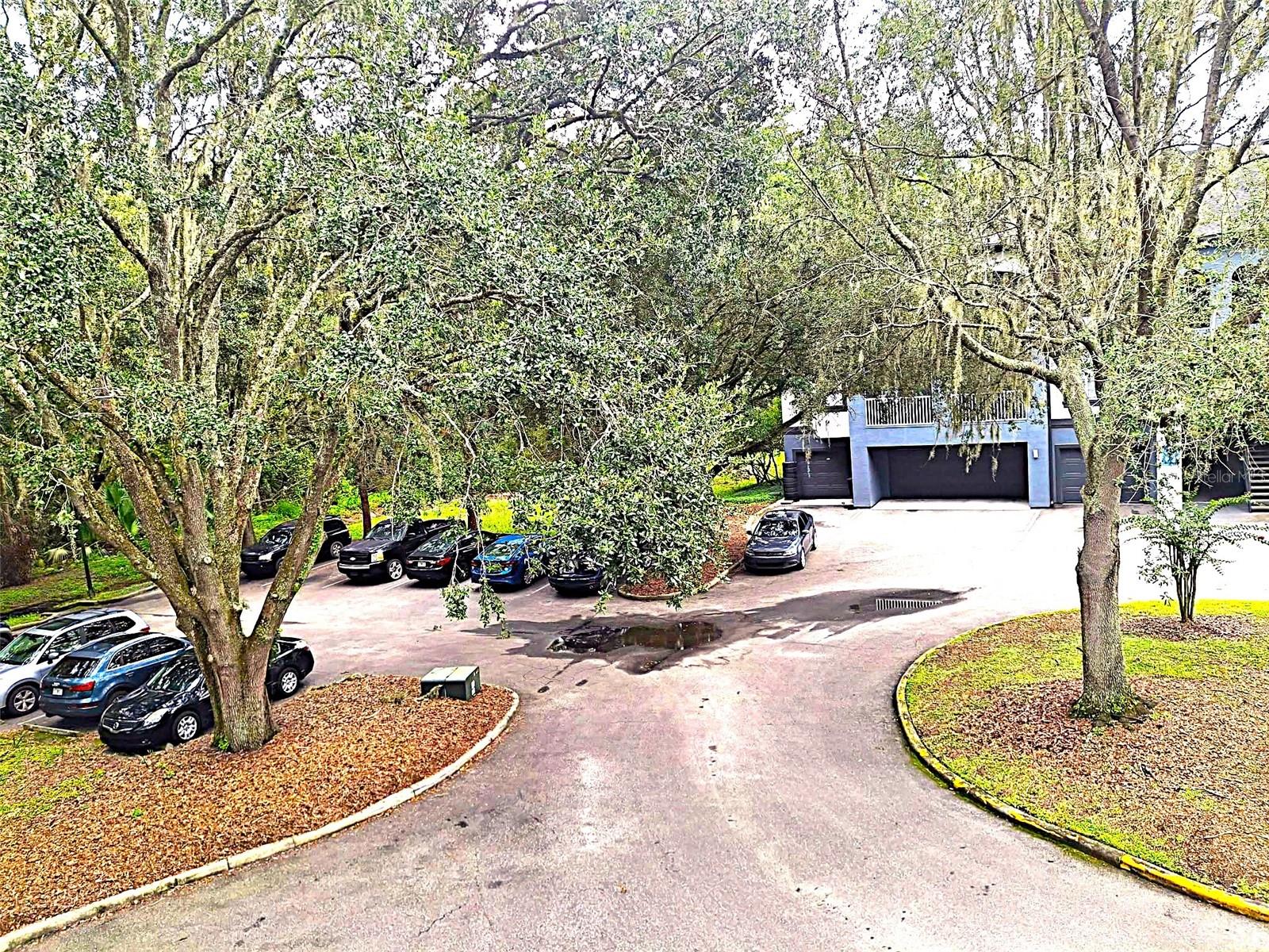 Image 29 of 60 For 13304 Sanctuary Cove Drive 303