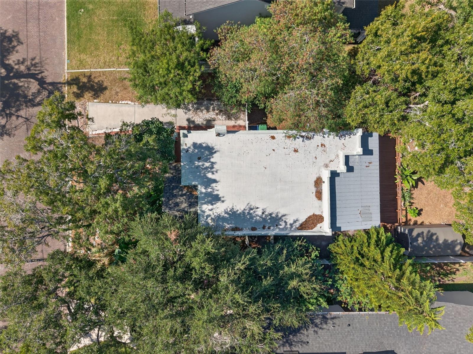 Image 60 of 68 For 907 Woodlawn Avenue