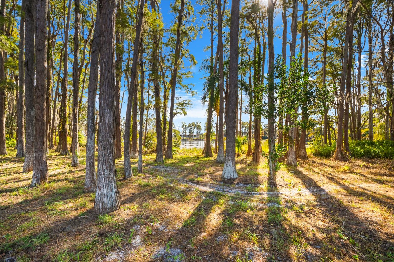 Image 61 of 72 For 17336 Ballmont Park Drive