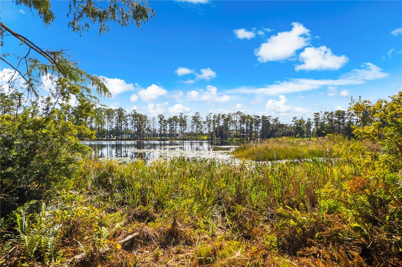 Image 62 of 72 For 17336 Ballmont Park Drive