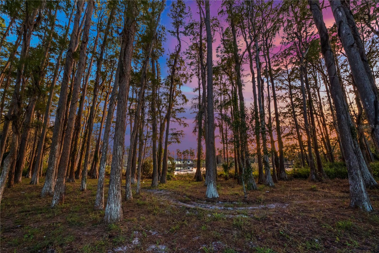 Image 69 of 72 For 17336 Ballmont Park Drive