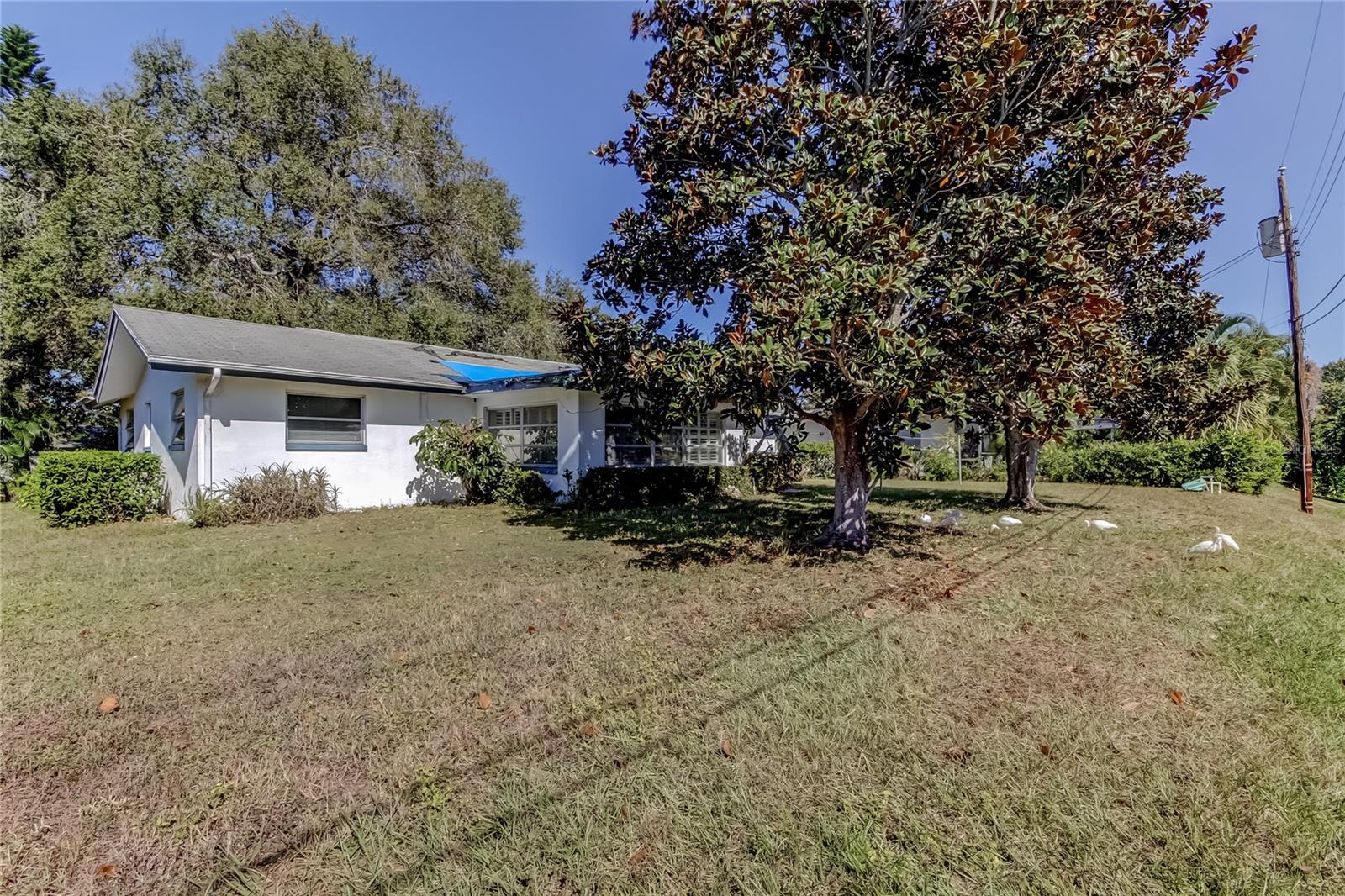 Image 37 of 45 For 2364 6th Avenue Sw