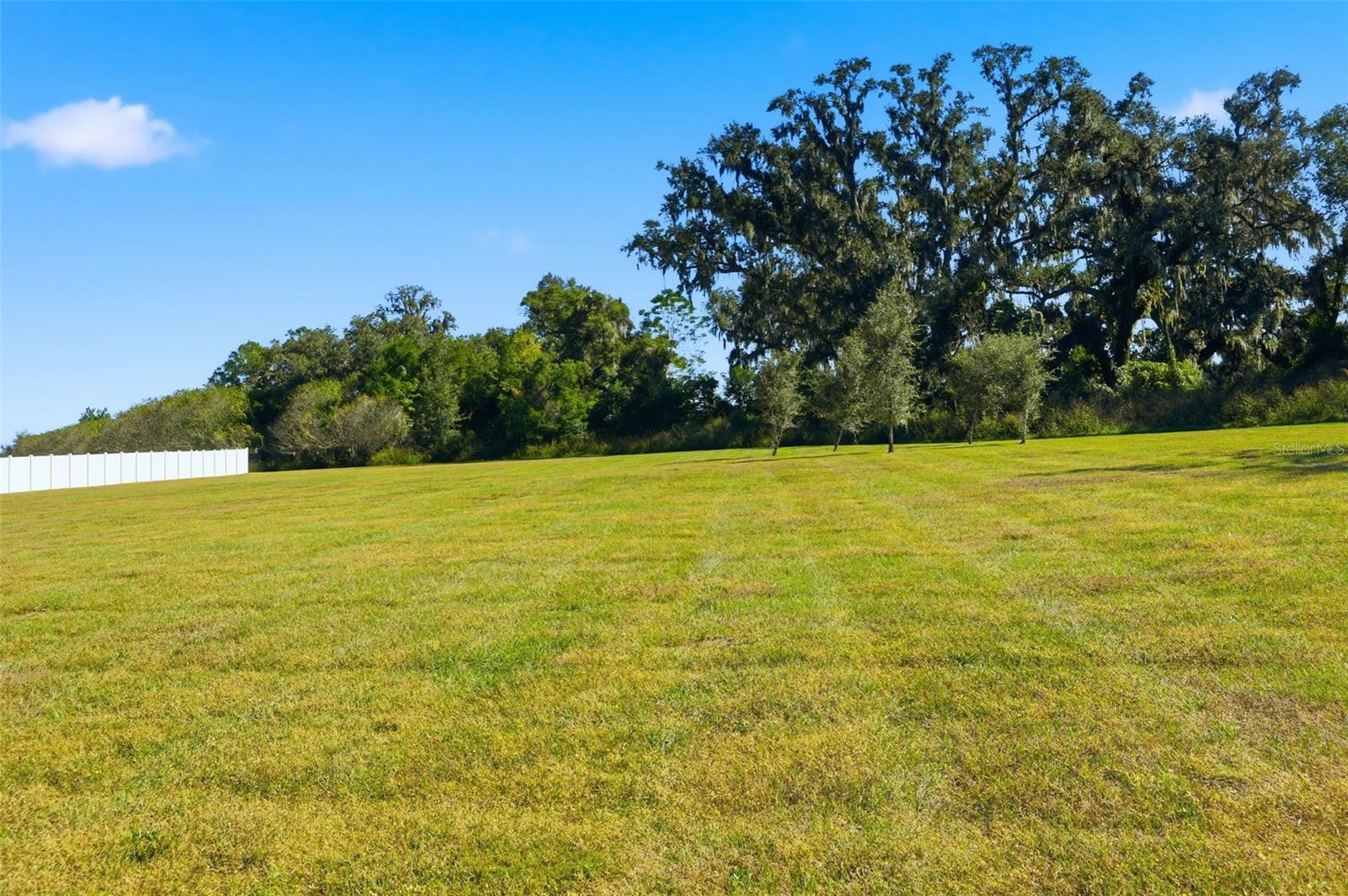 Image 39 of 54 For 41043 Stanton Hall