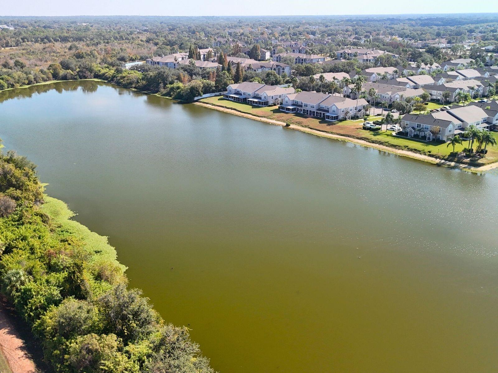 Image 40 of 62 For Address Not Provided