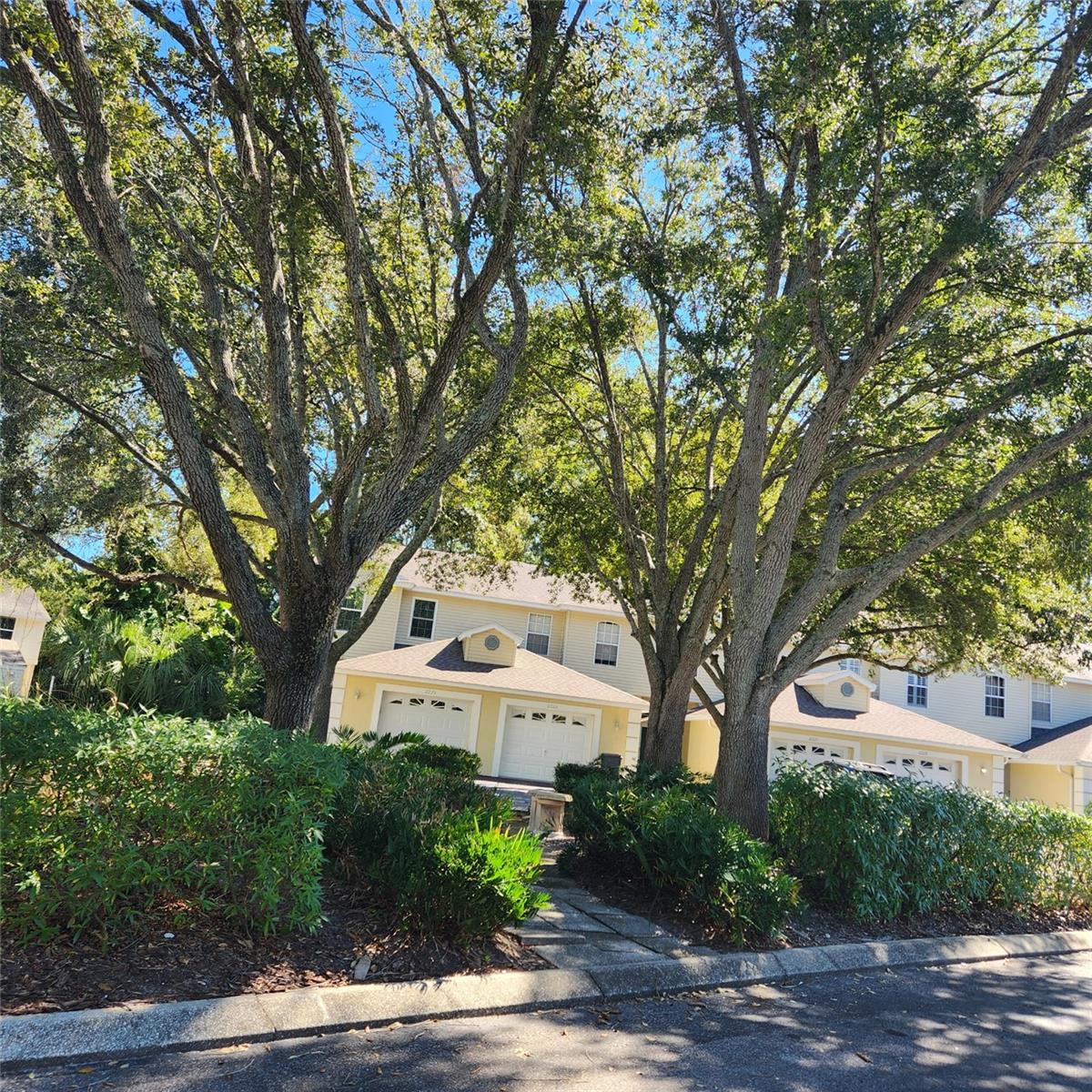 Details for 11241 Cedar Hollow Lane, TAMPA, FL 33618