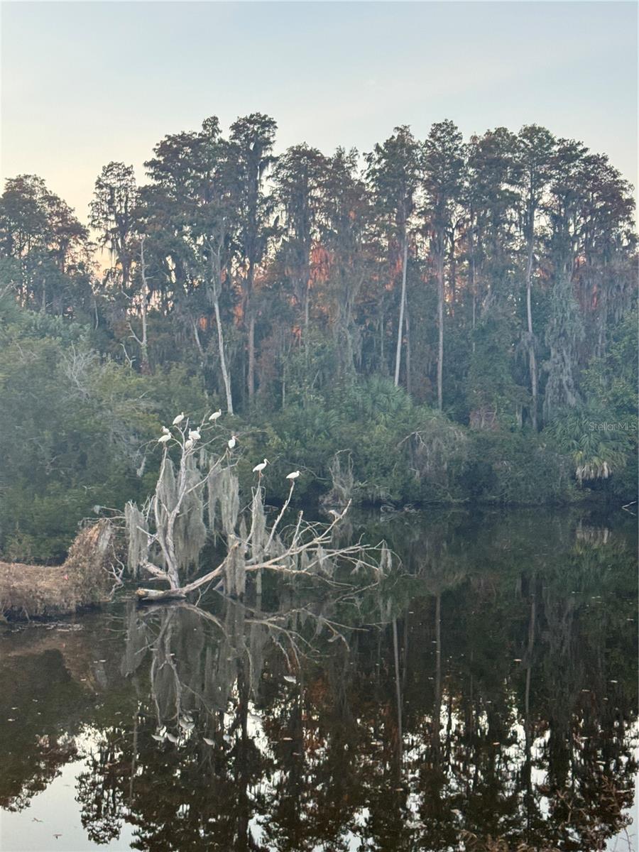 Image 32 of 46 For 4782 Fox Hunt Drive D659